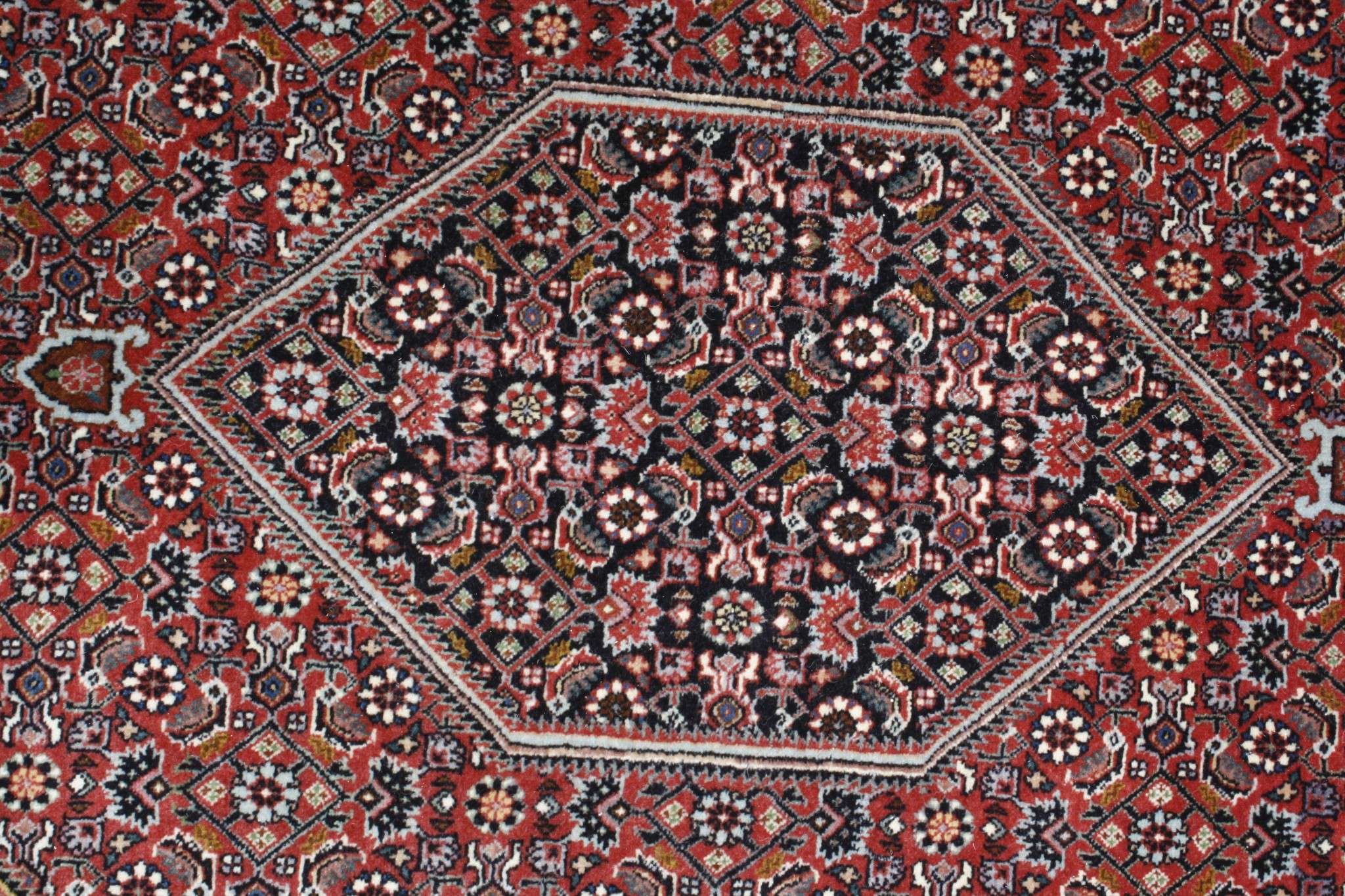 Persian rug Bijar Exclusive