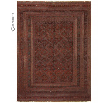 Oriental rug Kelim Mushvani Exclusive