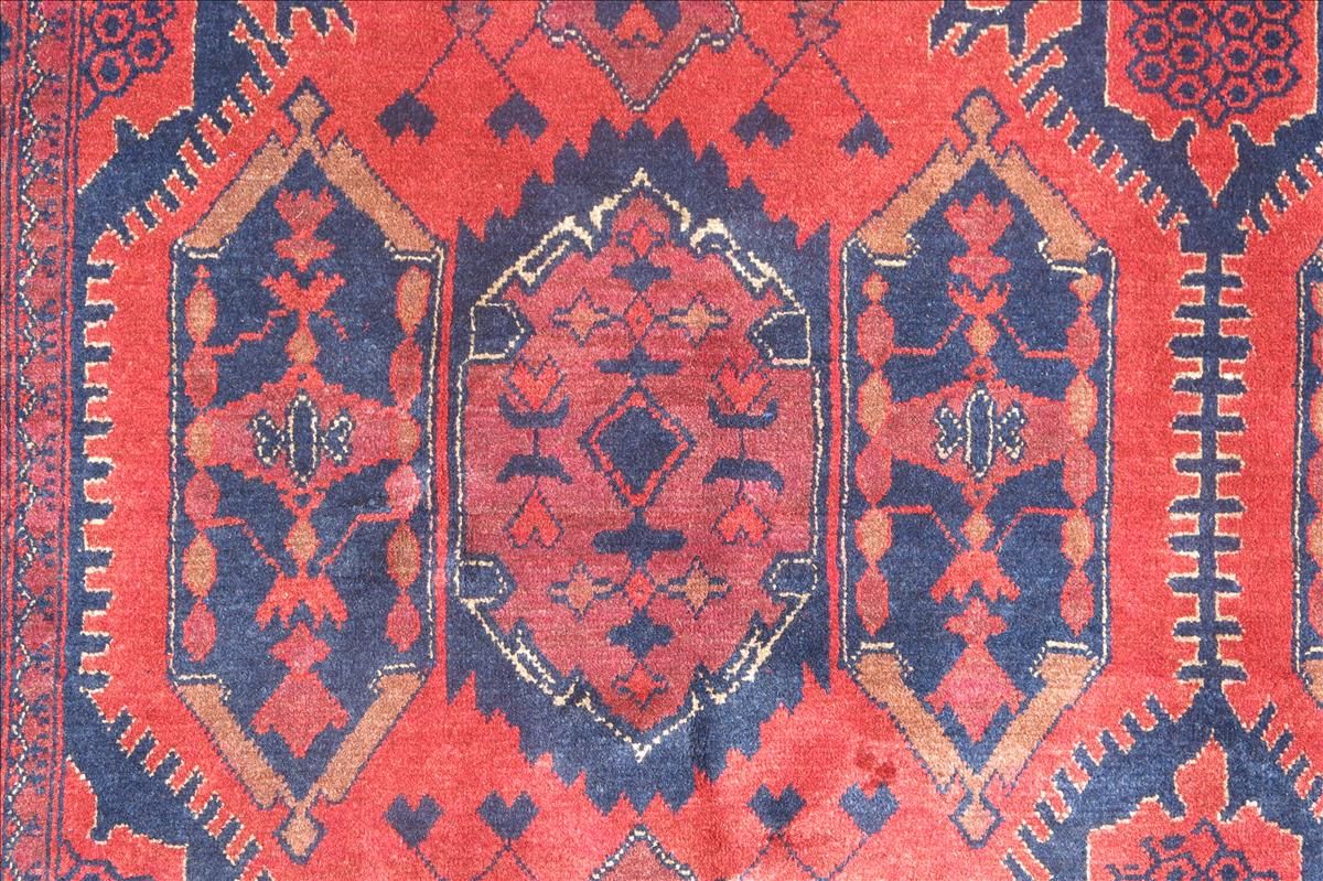 Oriental rug Mauri Exclusive