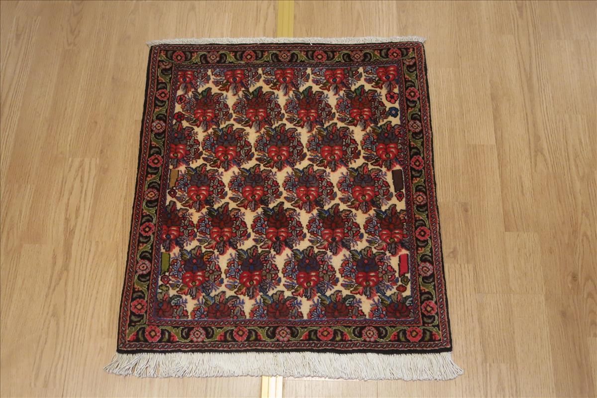 Oriental rug Bidjar Exclusive