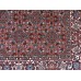 Oriental rug Bidjar Super