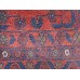 Oriental rug Mauri Exclusive