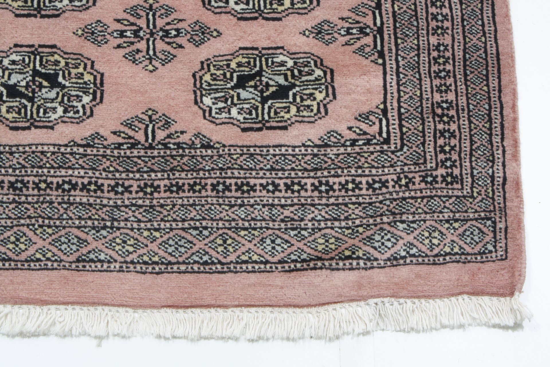 Oriental rug Bukhara Exclusive