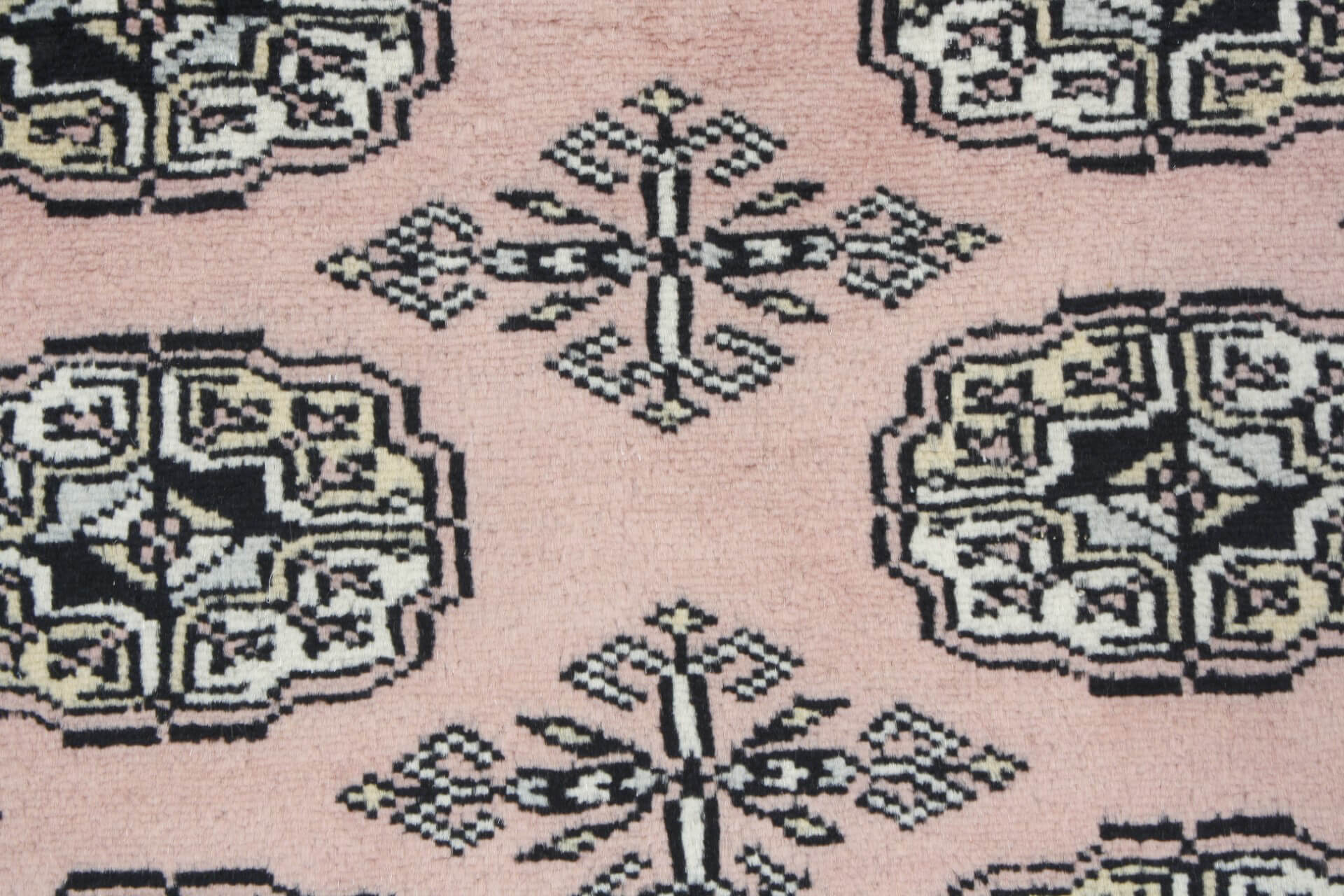 Oriental rug Bukhara Exclusive