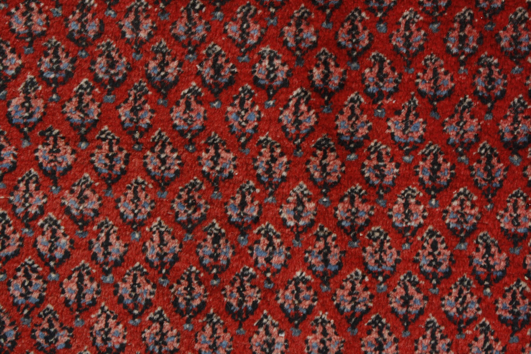 Persian rug Botteh-Mir