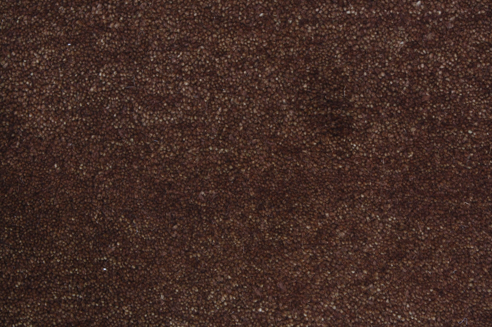 Gabbeh Adali Premium modern szőnyeg
